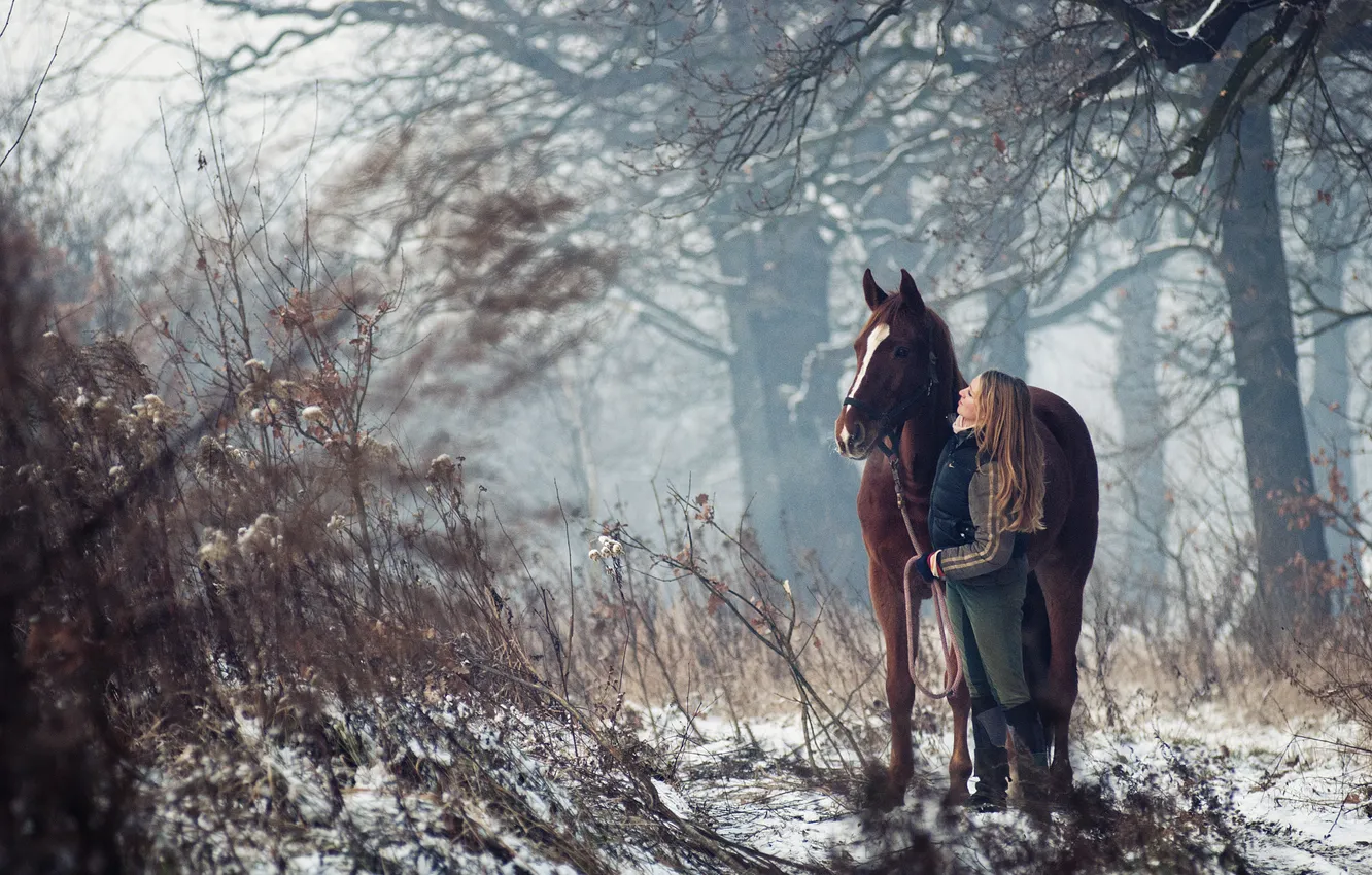 Photo wallpaper winter, forest, girl, trees, horse
