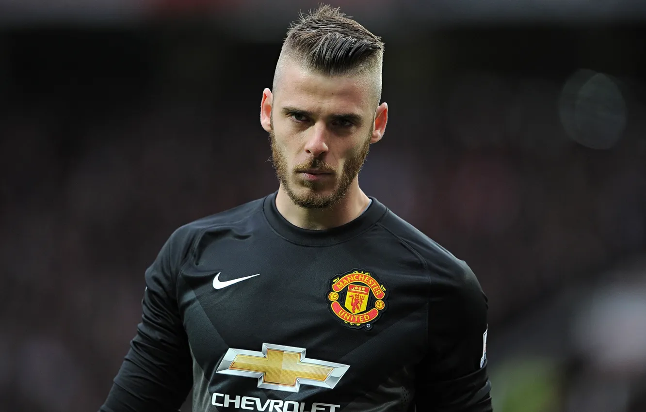 Photo wallpaper football, sport, Manchester United, Manchester United, David De Gea, Gea, David De GEA