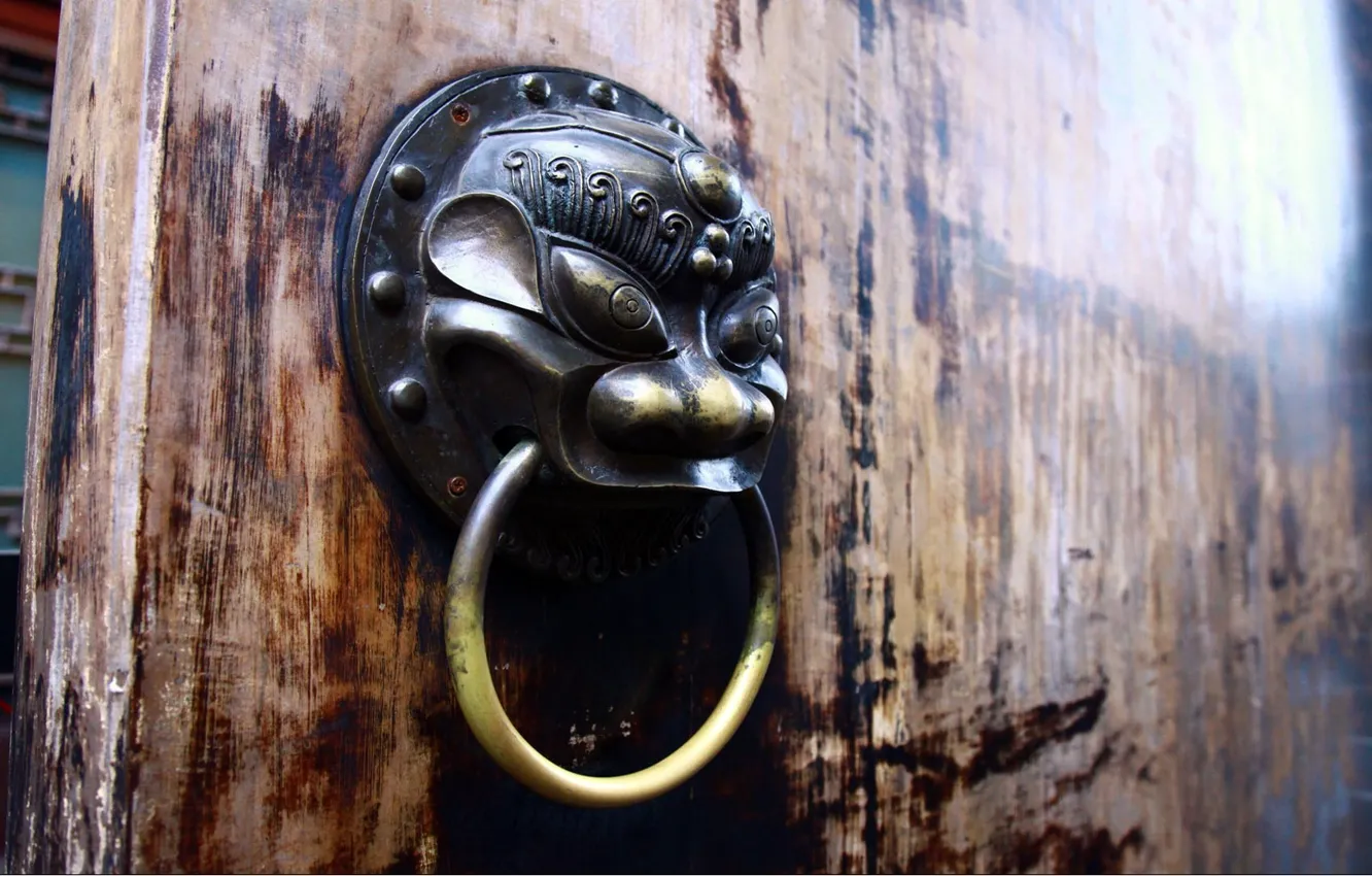 Photo wallpaper the door, ring, gin