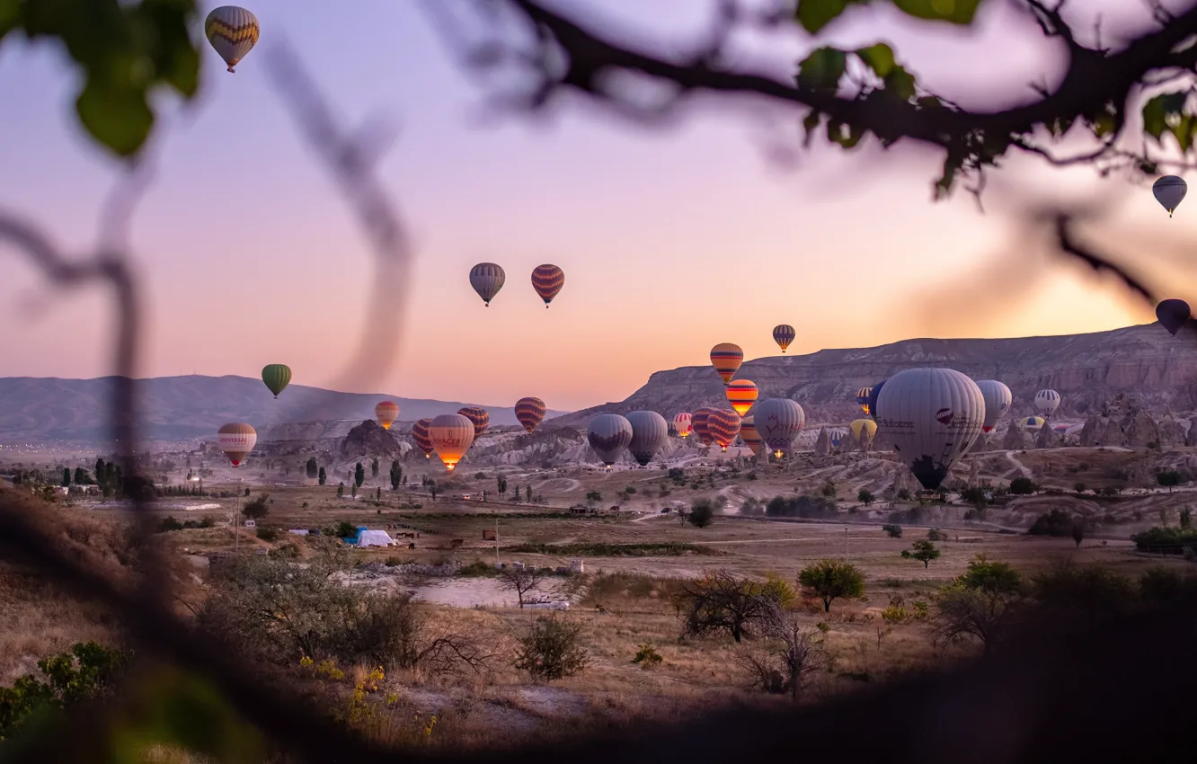 Photo wallpaper leaves, trees, mountains, branches, balloons, desert, view, a lot