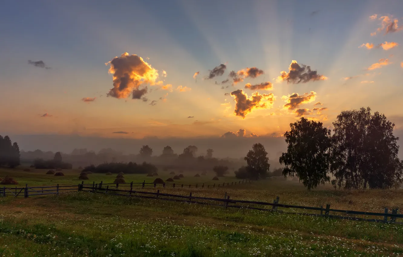 Photo wallpaper field, summer, the sky, grass, clouds, light, trees, landscape