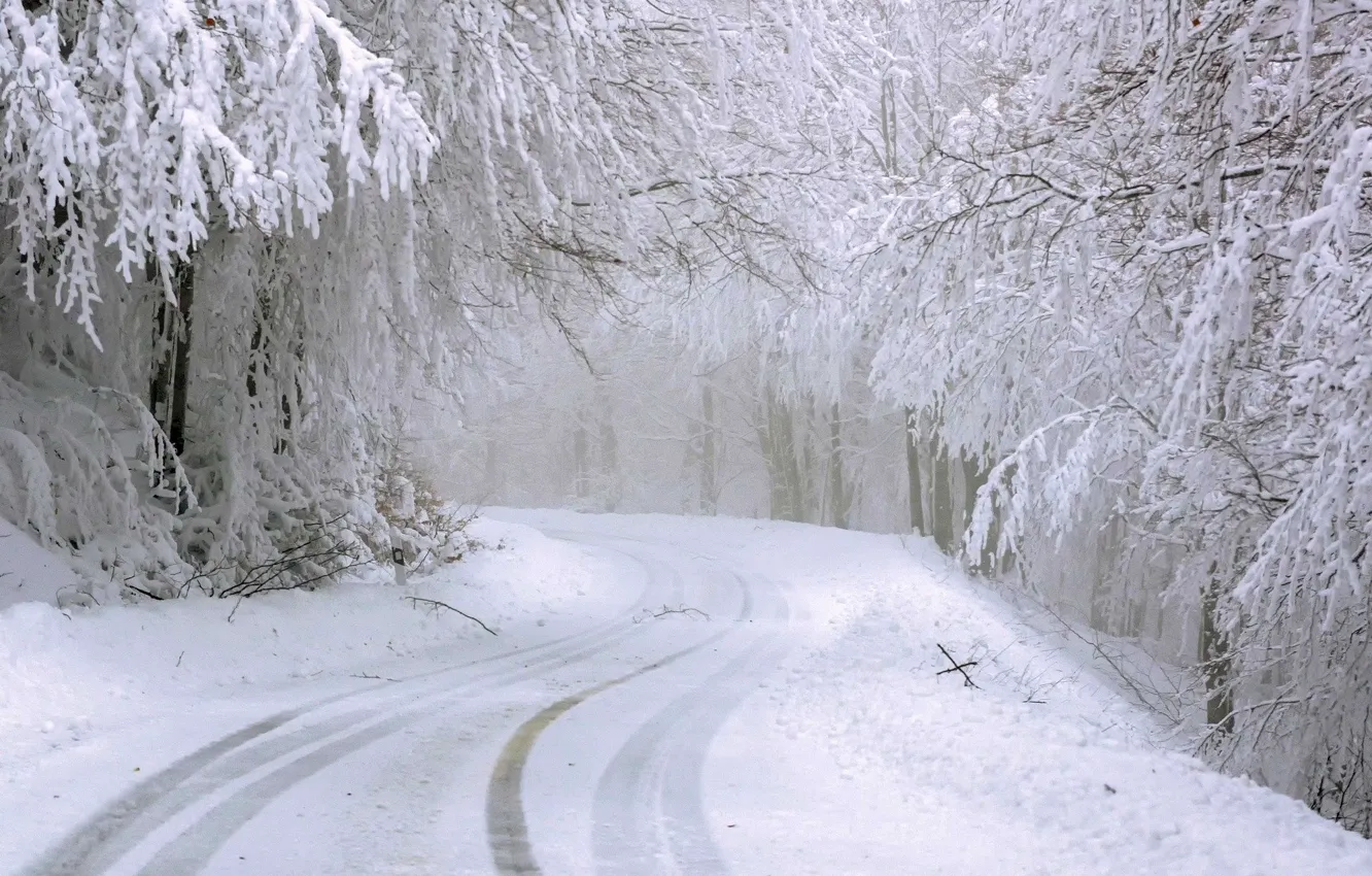 Photo wallpaper winter, road, snow, nature