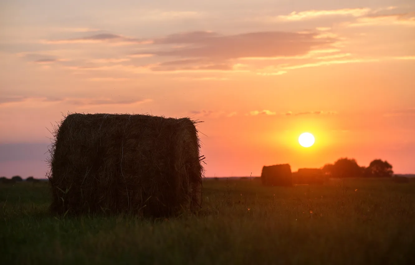 Photo wallpaper field, the sun, sunset, hay, bales, straw, Kip