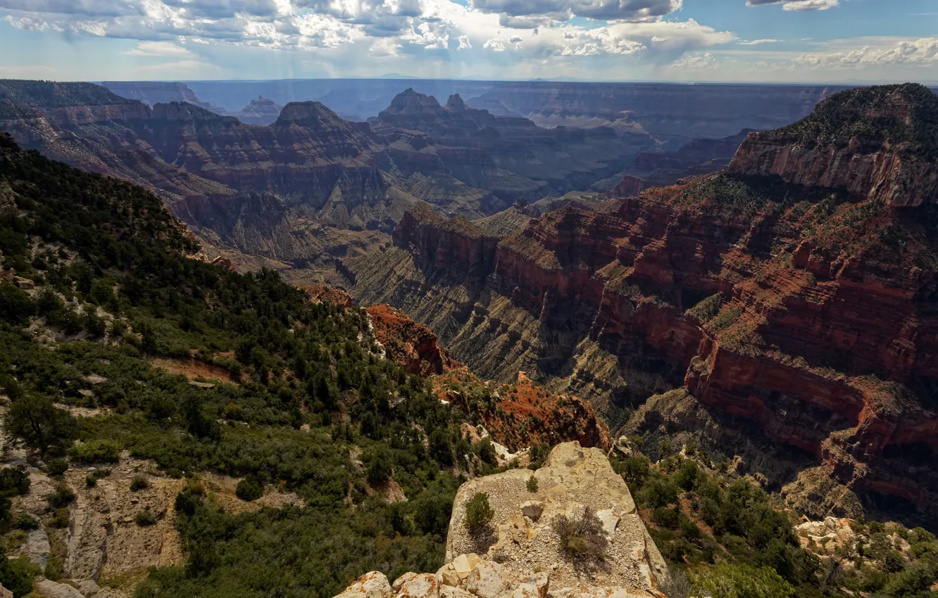 Photo wallpaper AZ, USA, Grand Canyon, North Rim