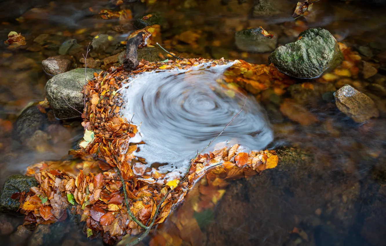 Photo wallpaper autumn, water, stream, stones, for, yellow, whirlpool, river