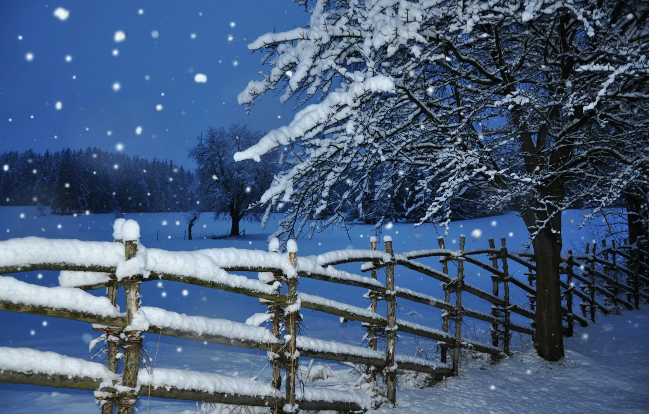 Photo wallpaper winter, snow, tree, the fence, the evening, twilight, snowfall