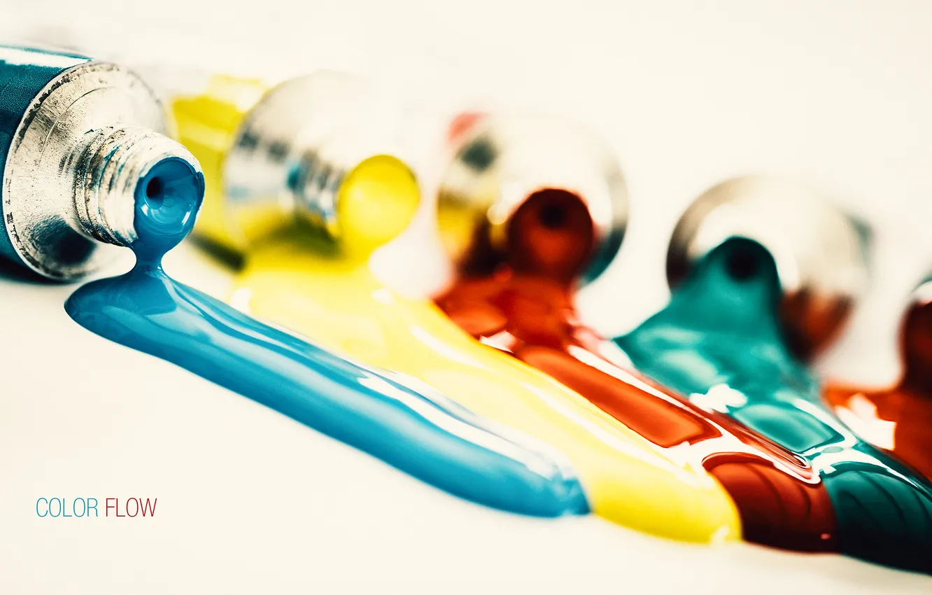 Photo wallpaper macro, paint, photographer, photography, photographer, Björn Wunderlich