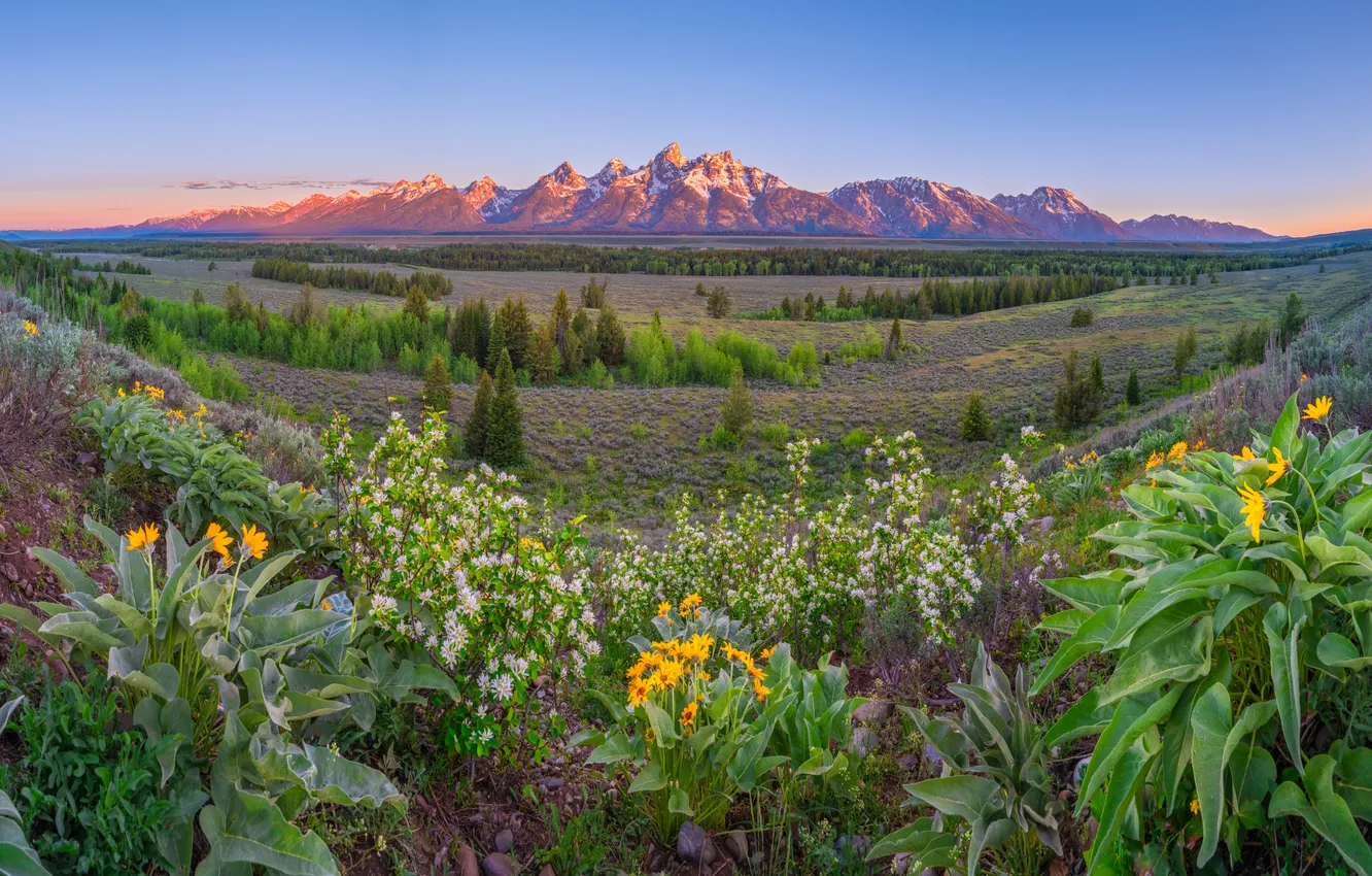 Photo wallpaper Mountains, Panorama, USA, Landscape, Grand Teton National Park, Parks