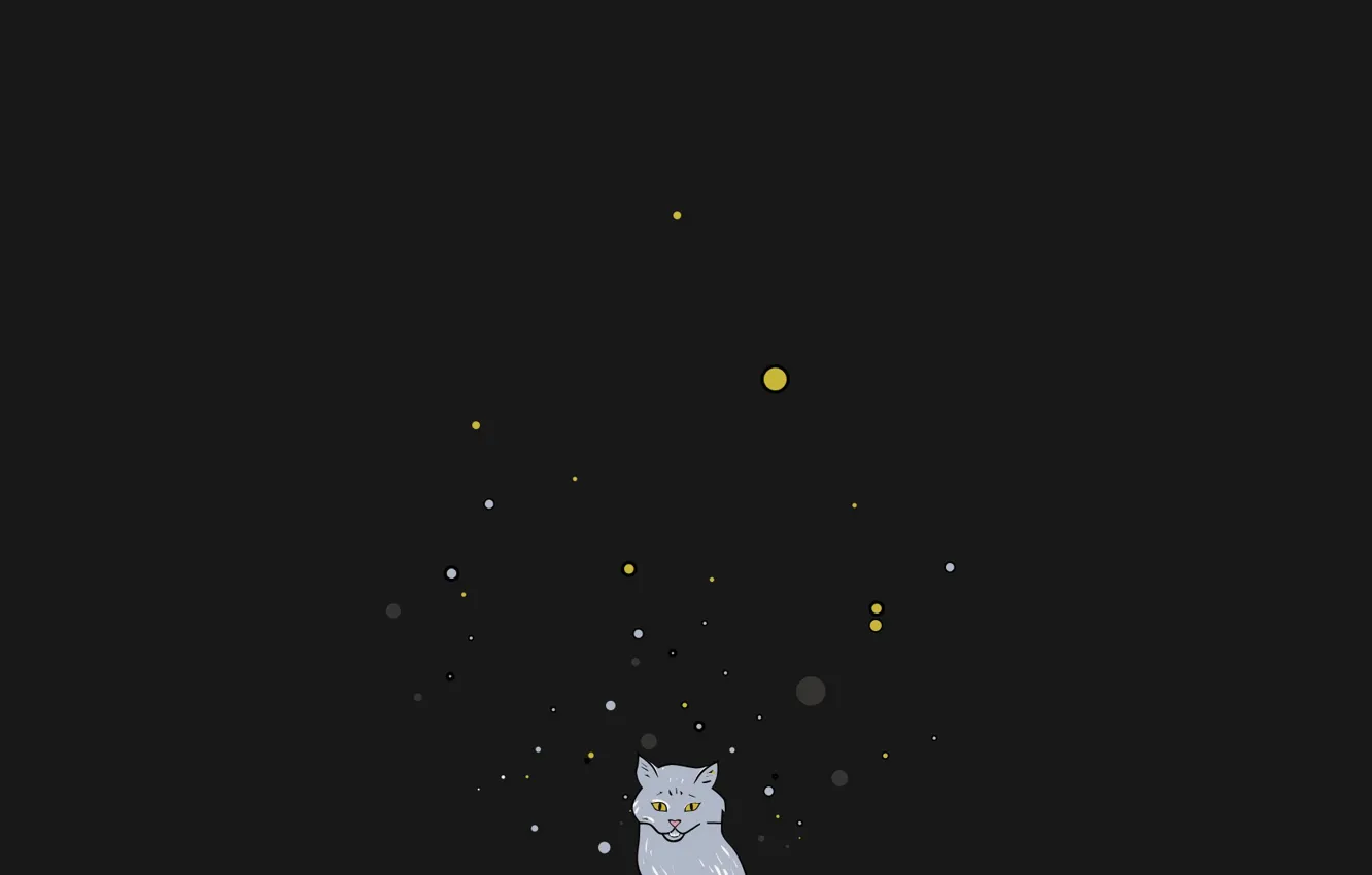 Photo wallpaper cat, cat, balls, kitty, thoughts, cat, Koshak, any idea