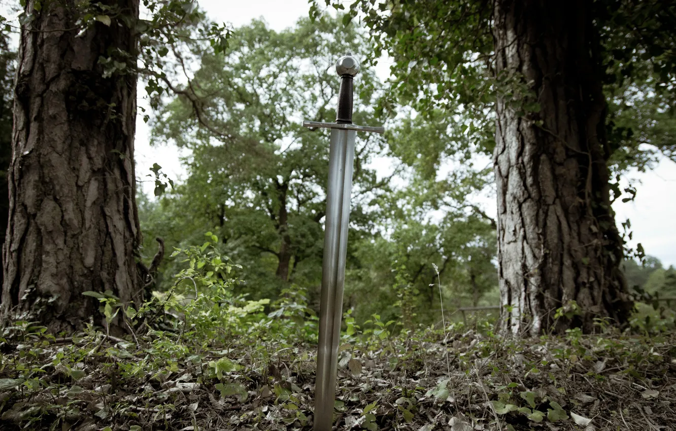 Photo wallpaper nature, weapons, steel, sword