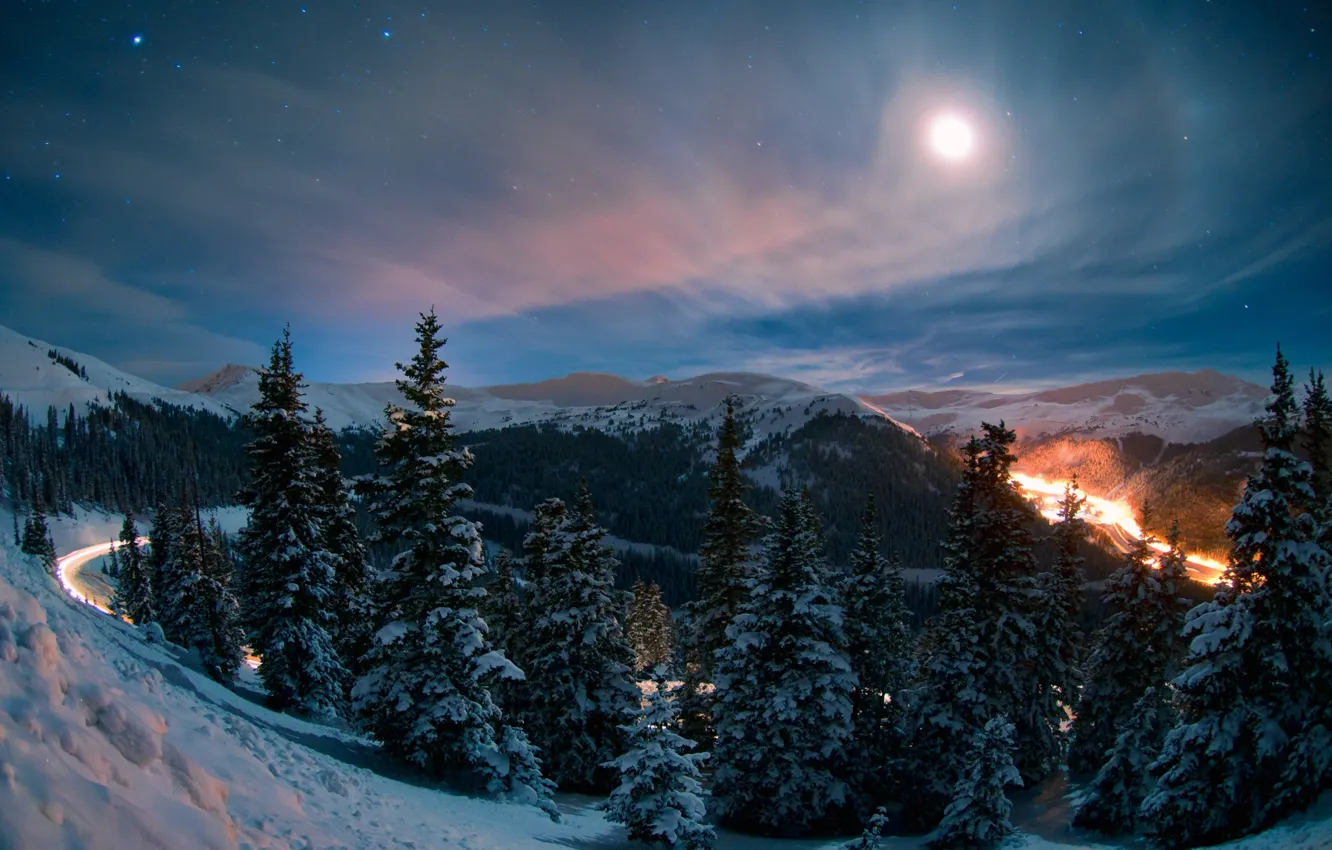 Photo wallpaper sky, trees, winter, Energo5, Night landscape