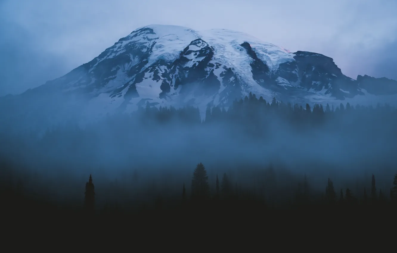 Photo wallpaper forest, the sky, snow, trees, mountains, nature, fog, the evening