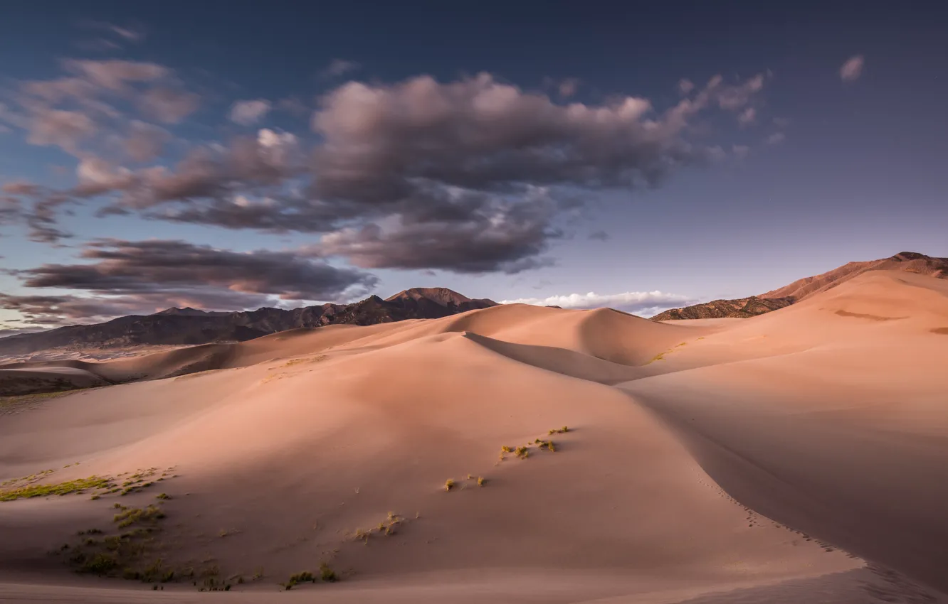 Photo wallpaper sand, the sky, clouds, mountains, hills, vegetation, desert, dunes