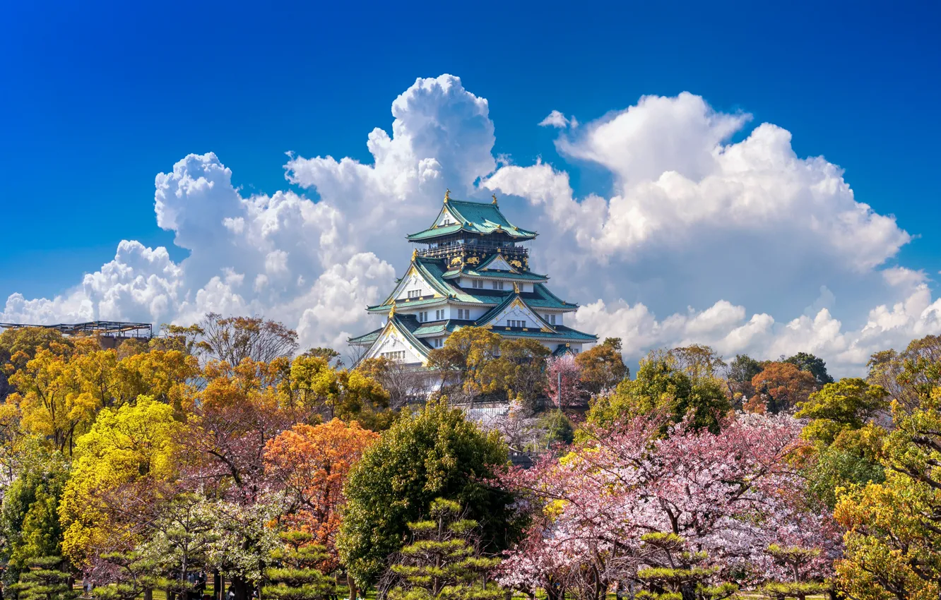 Photo wallpaper spring, Sakura, Japan, flowering, pink, Palace, blossom, sakura