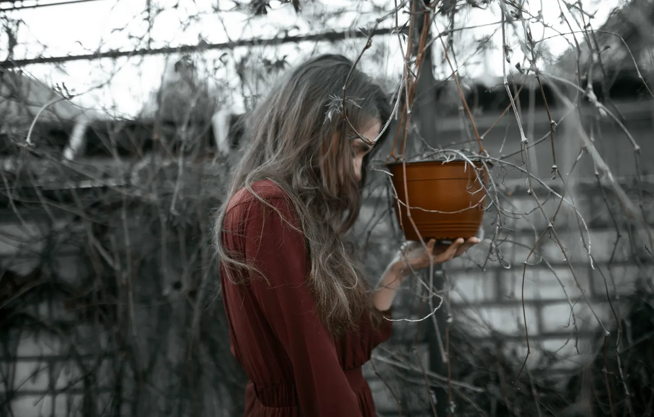 Photo wallpaper girl, dress, flower pot, Alesya Volodko