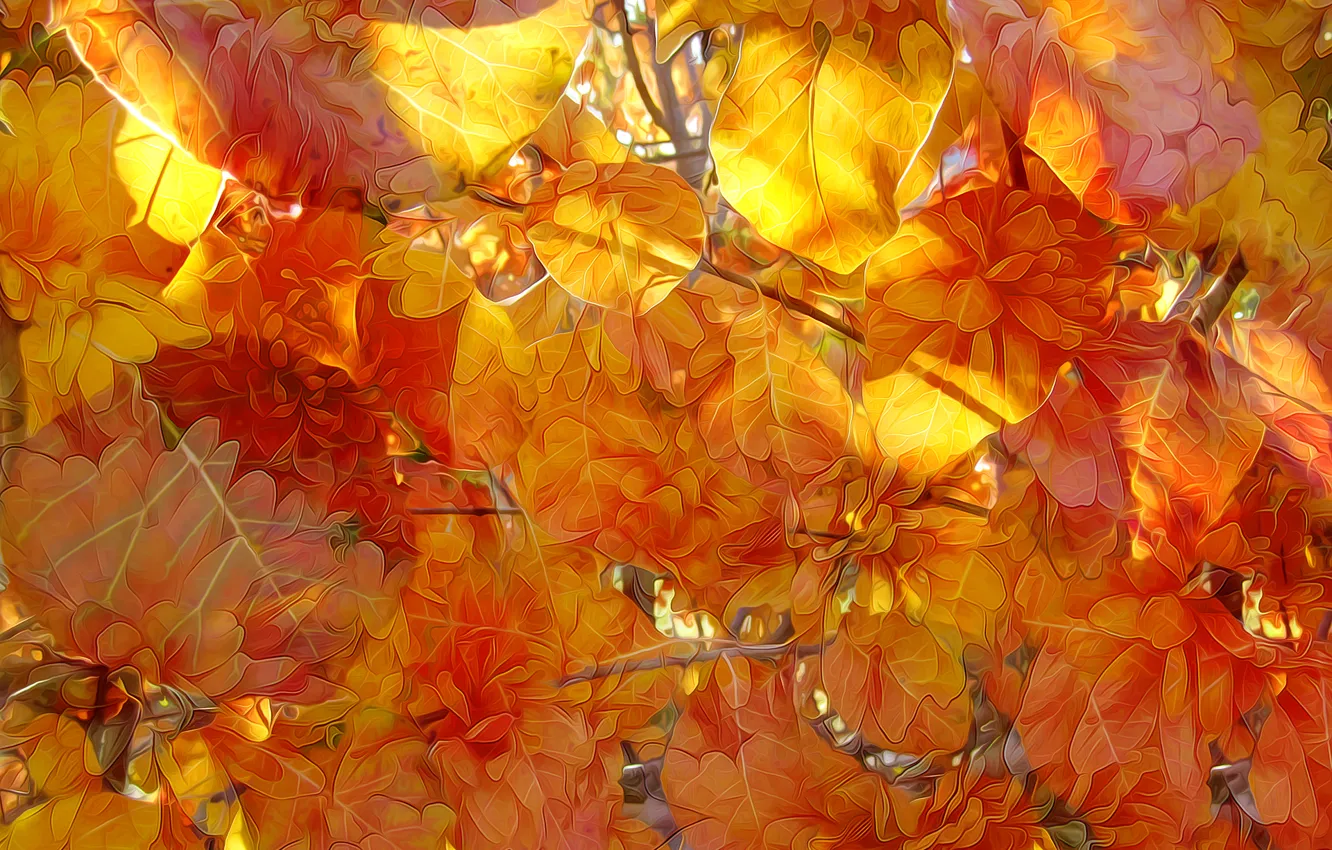 Photo wallpaper autumn, leaves, line, nature, paint