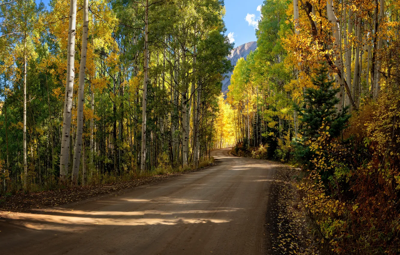 Photo wallpaper road, autumn, forest, the sky, light, trees, mountains, foliage