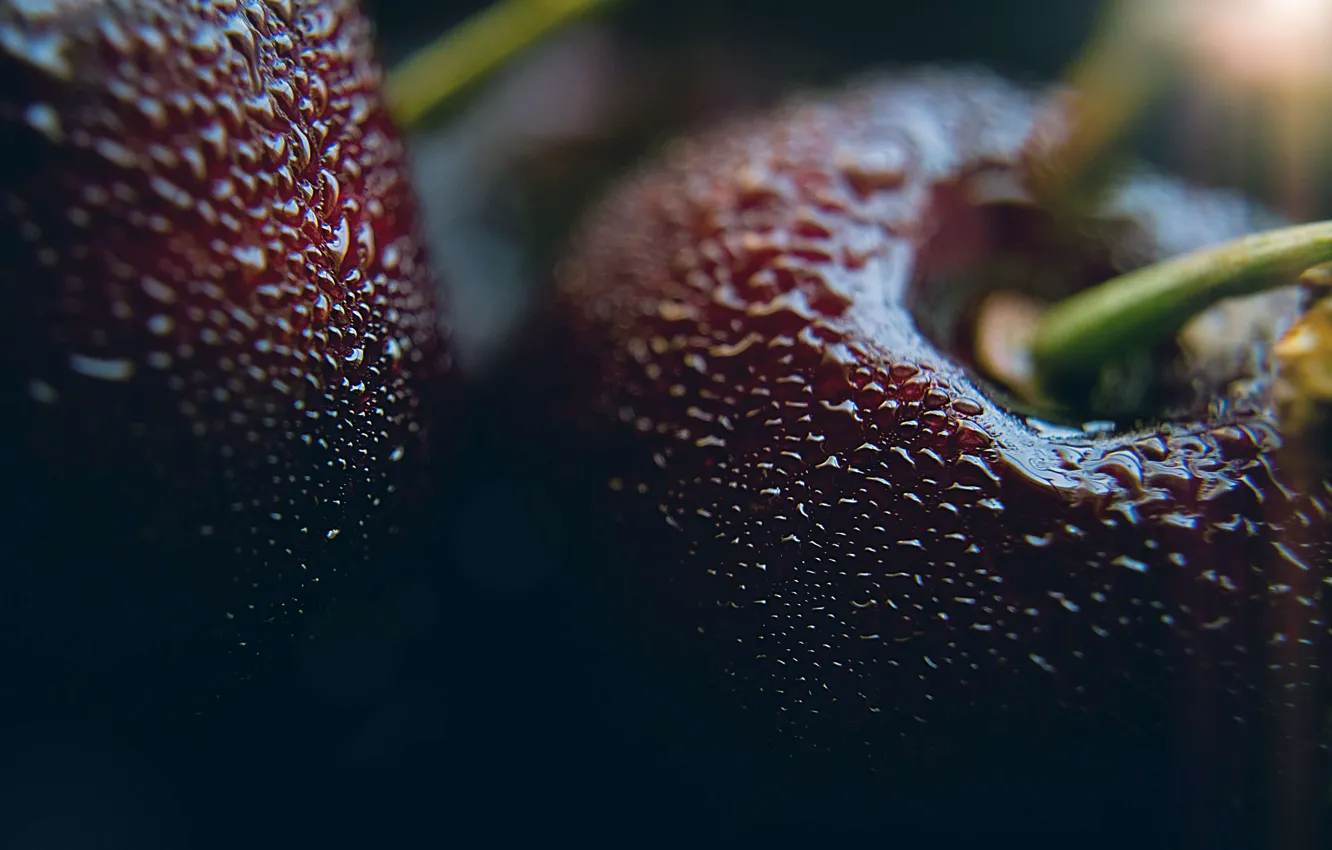 Photo wallpaper drops, macro, cherry, moisture, 4K Wallpaper