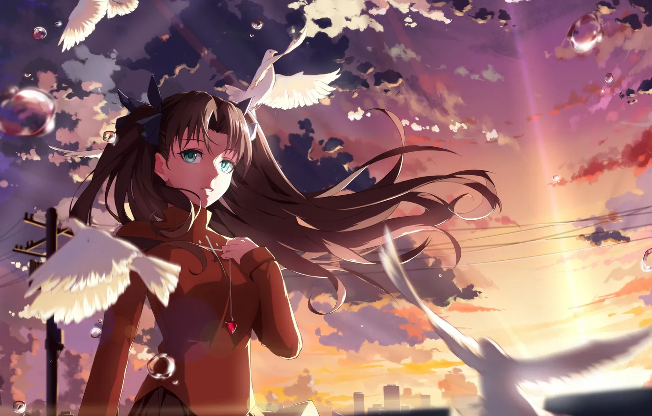 Photo wallpaper the sky, girl, clouds, sunset, birds, anime, art, fate stay night