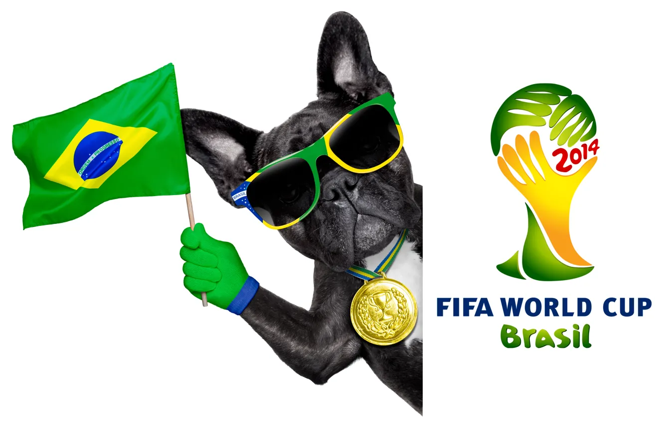 Photo wallpaper logo, dog, football, flag, funny, cool, World Cup, Brasil