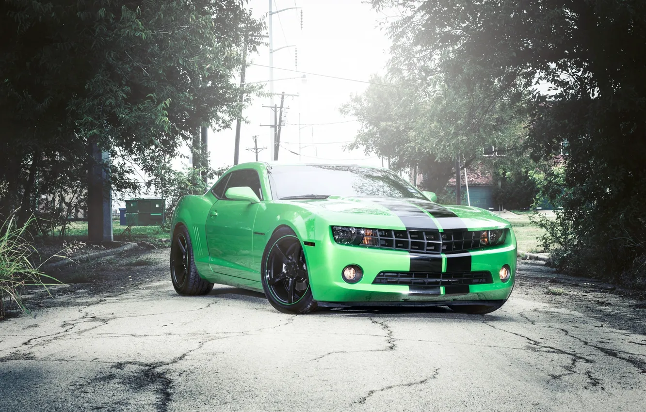 Photo wallpaper Auto, Grass, Trees, Chevrolet, Tuning, Machine, Camaro