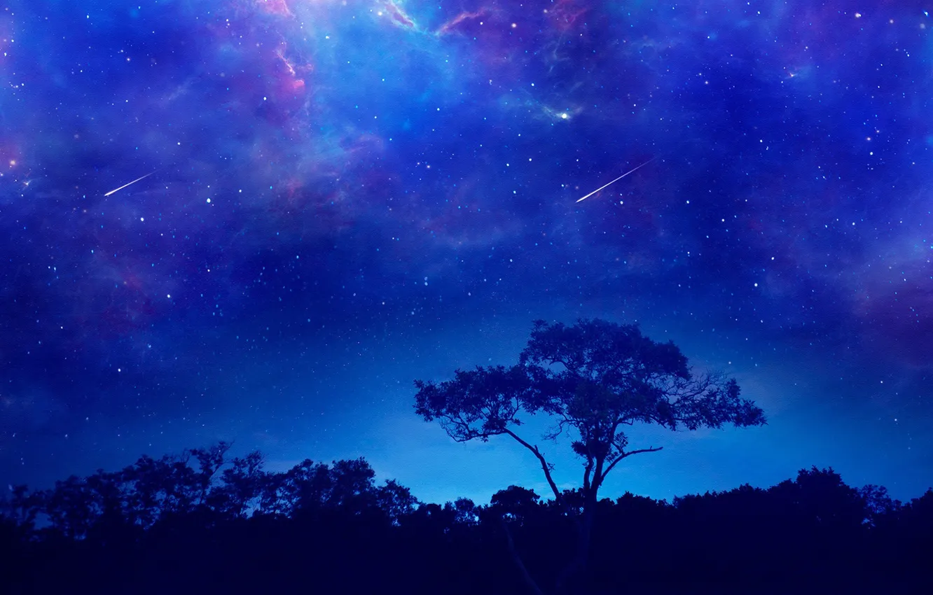 Photo wallpaper the sky, space, stars, trees, landscape, night, nebula, nature