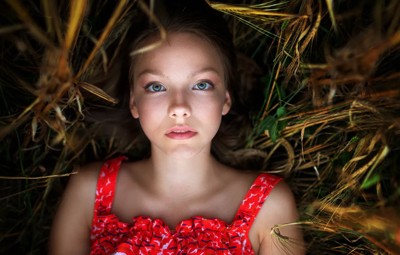 Photo wallpaper grass, look, girl, face, Renat Fotov, Ksenia Kuptsov V. Ph., Nikolenko