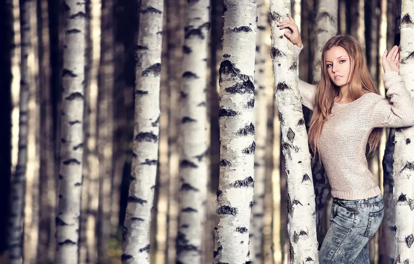 Photo wallpaper girl, birch, Tanja
