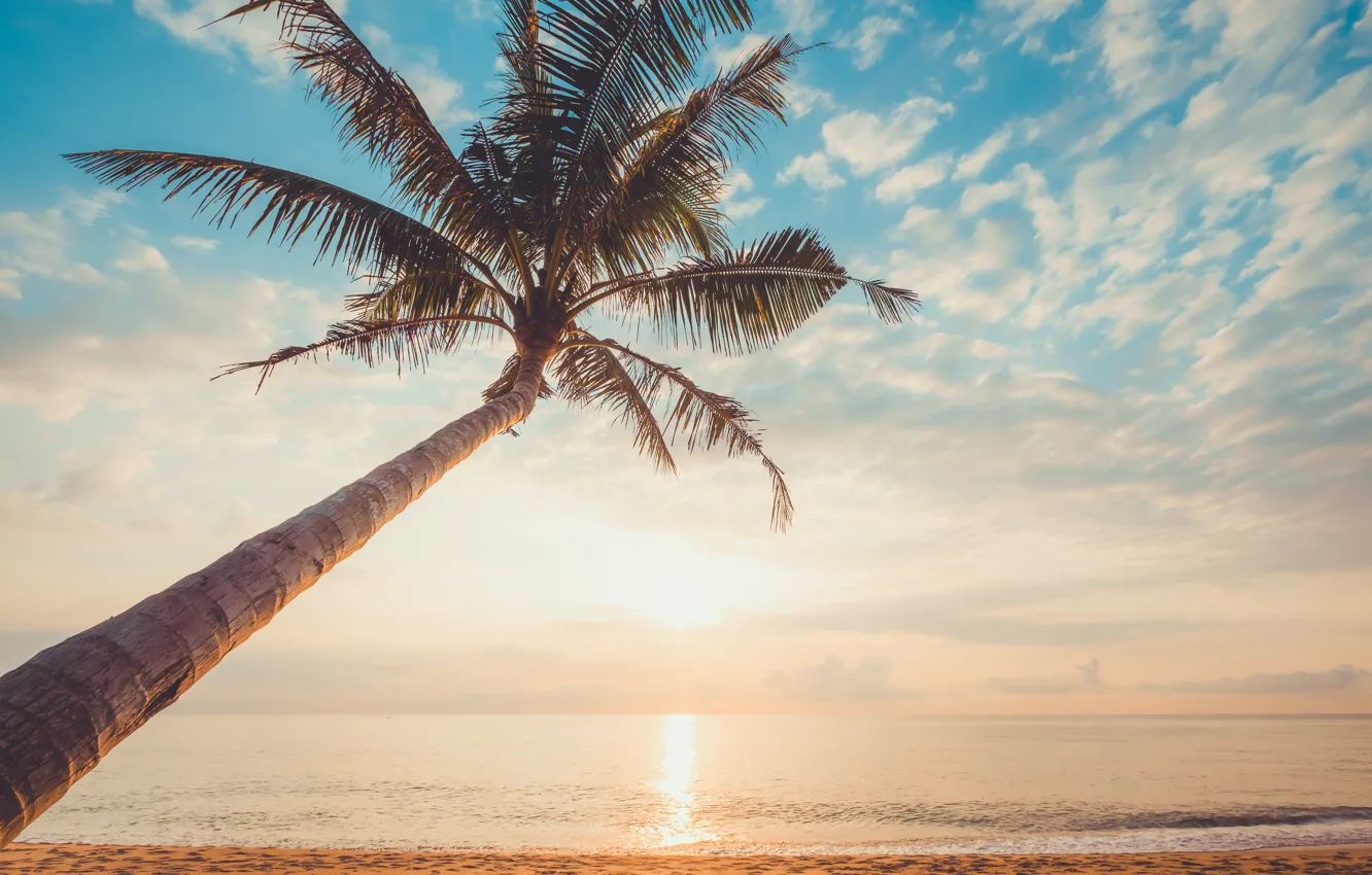 Photo wallpaper sand, sea, wave, beach, summer, the sky, sunset, palm trees