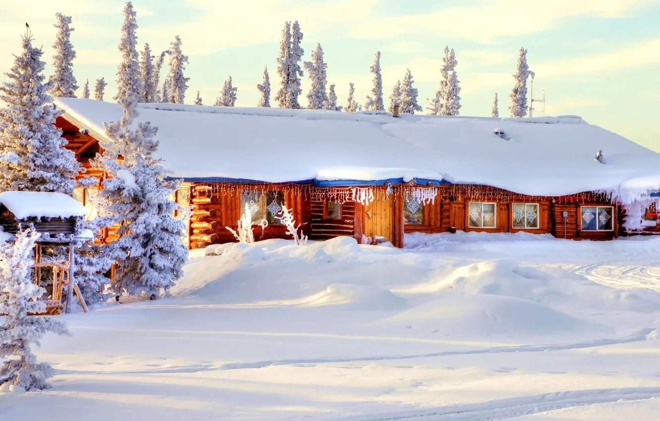 Photo wallpaper winter, forest, the sky, snow, trees, nature, house