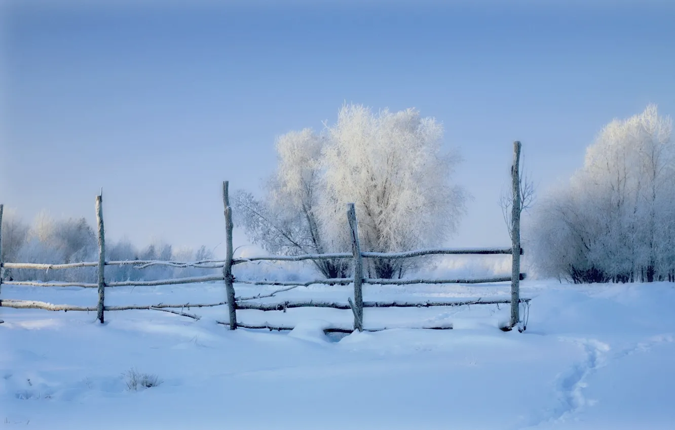 Photo wallpaper winter, field, snow, the fence, morning