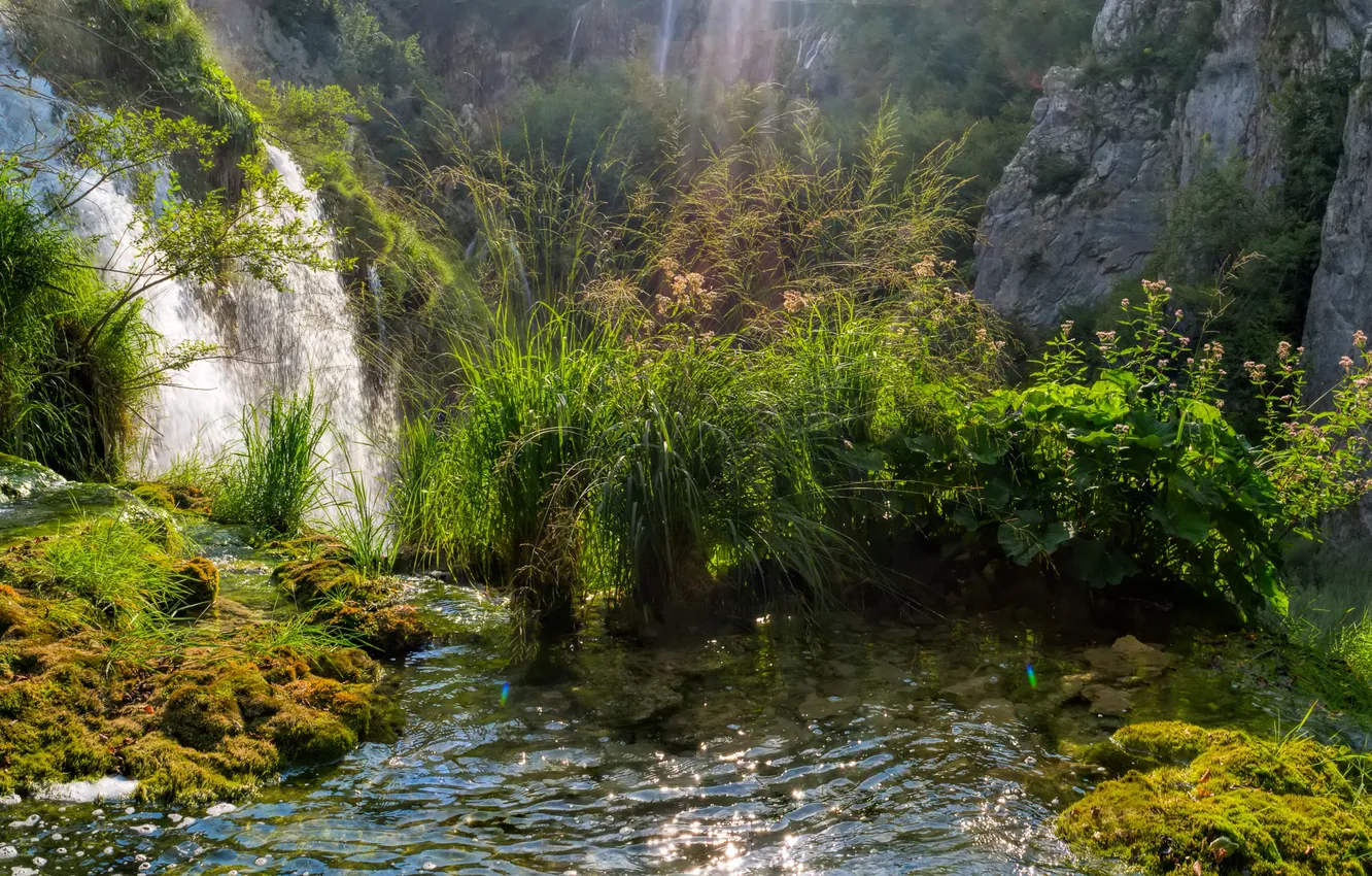 Photo wallpaper grass, stream, rocks, waterfall, moss, Sunny, the bushes, Croatia