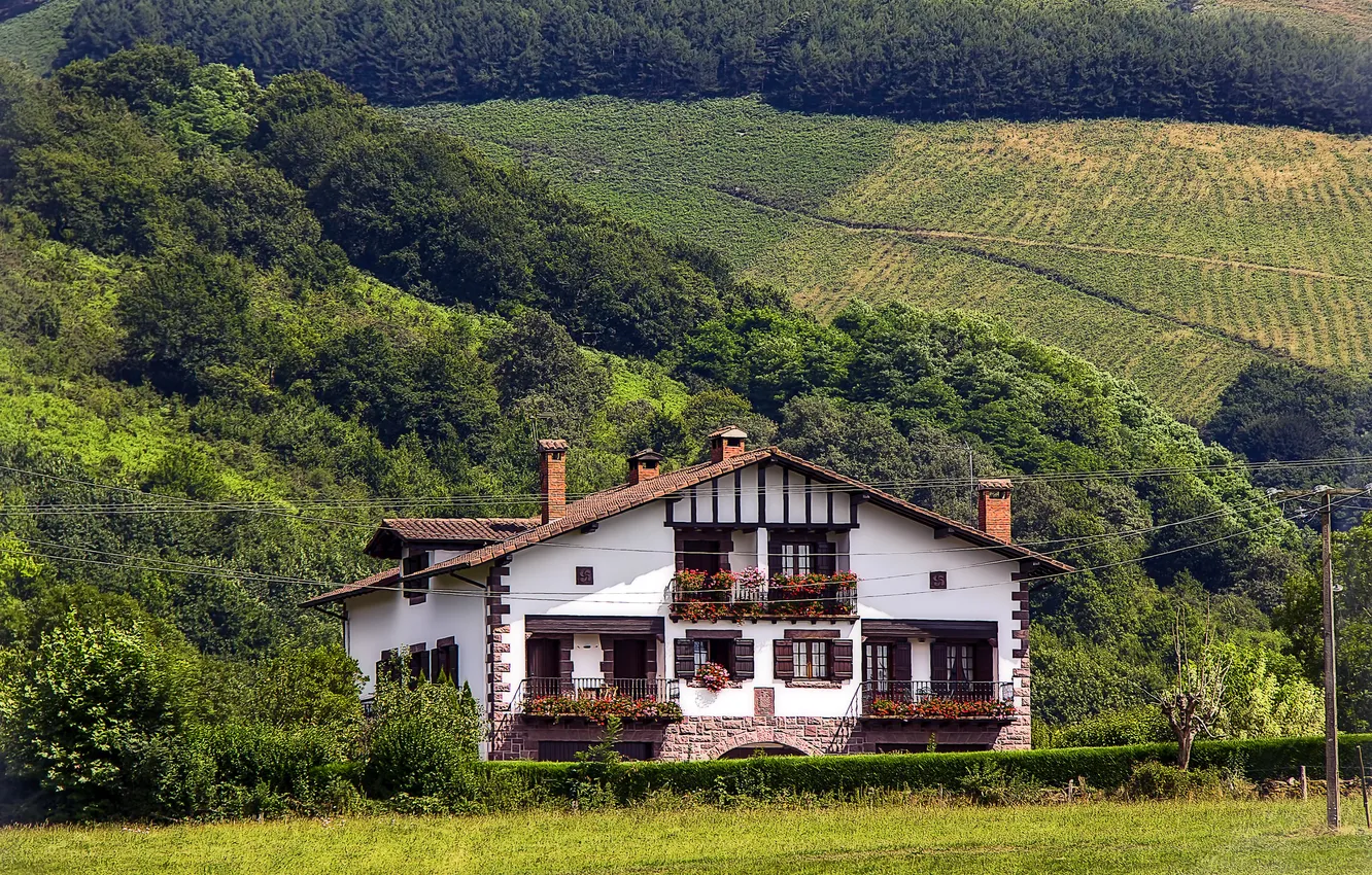 Photo wallpaper field, trees, home, slope, Spain, the bushes, Navarre, Baztan