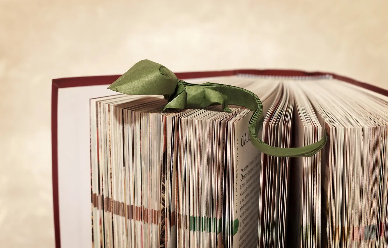 Photo wallpaper lizard, book, origami