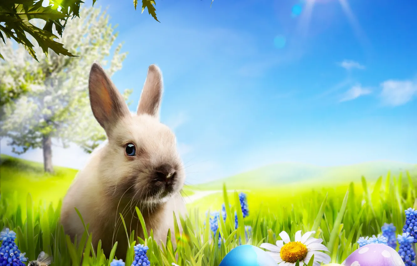 Photo wallpaper grass, flowers, chamomile, eggs, spring, rabbit, meadow, Easter