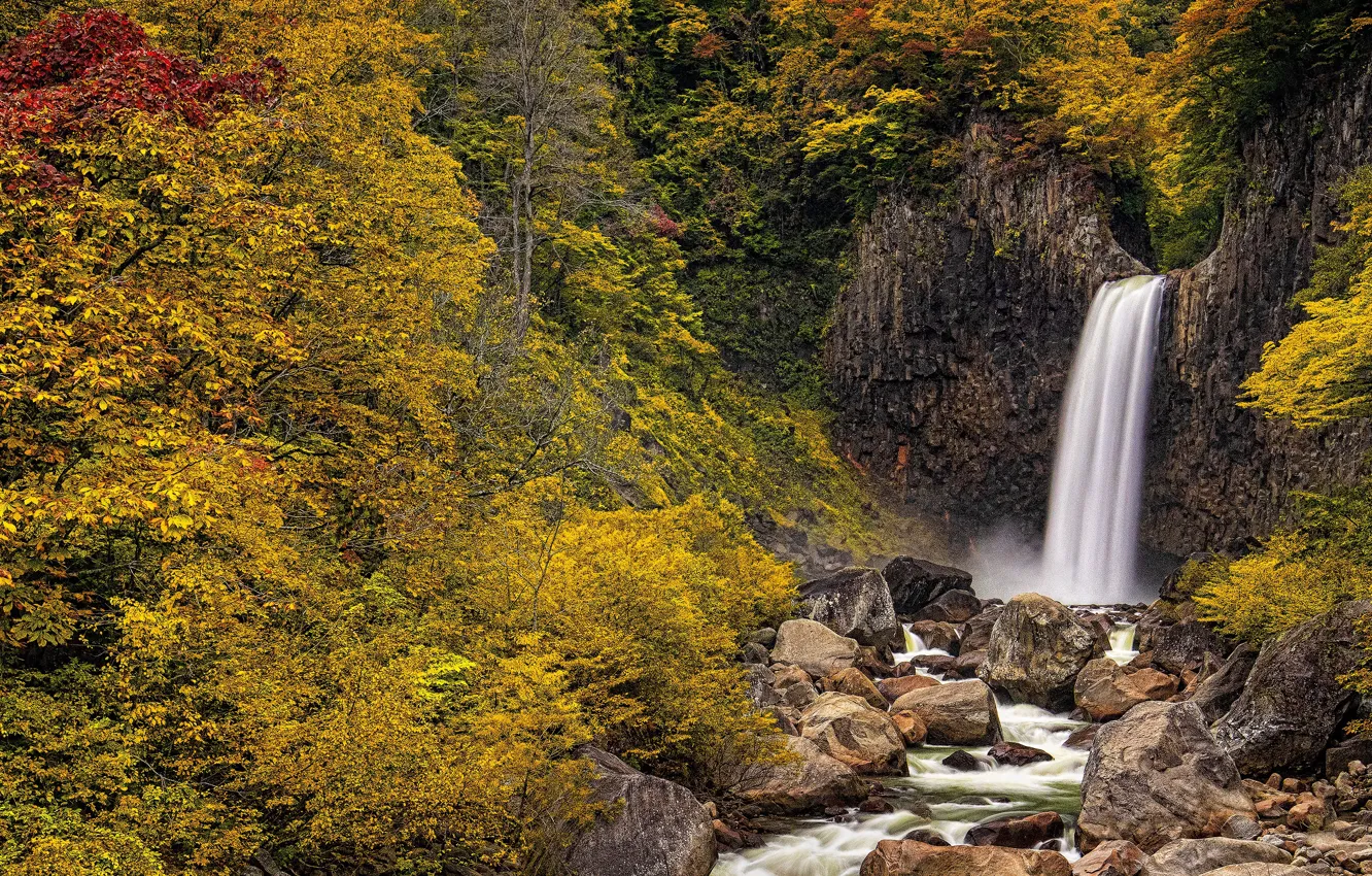 Photo wallpaper autumn, forest, stream, waterfall, Japan, panorama, Japan, Niigata