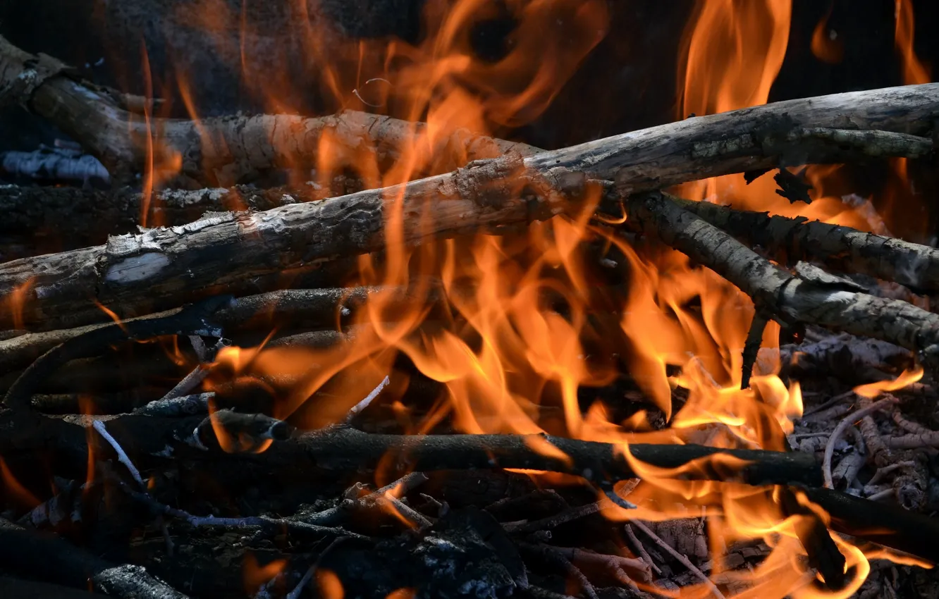 Photo wallpaper fire, the fire, firewood