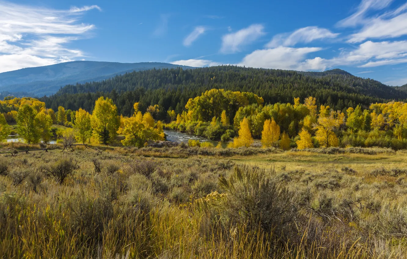 Photo wallpaper autumn, forest, grass, trees, mountains, yellow, USA, river