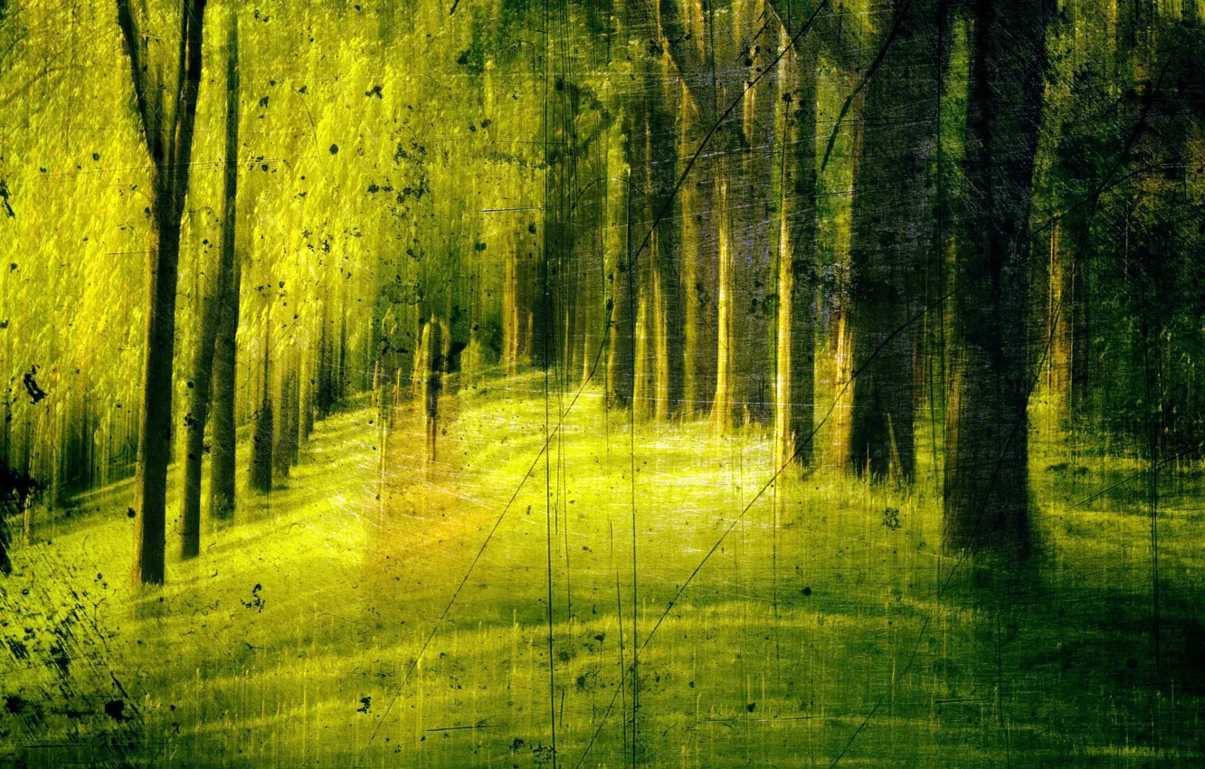 Photo wallpaper nature, background, texture