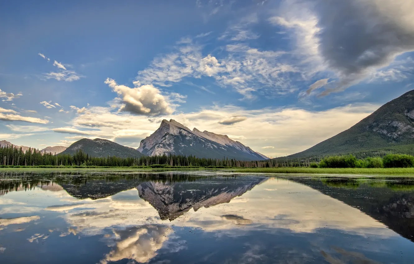 Photo wallpaper forest, the sky, water, clouds, trees, mountains, lake, reflection