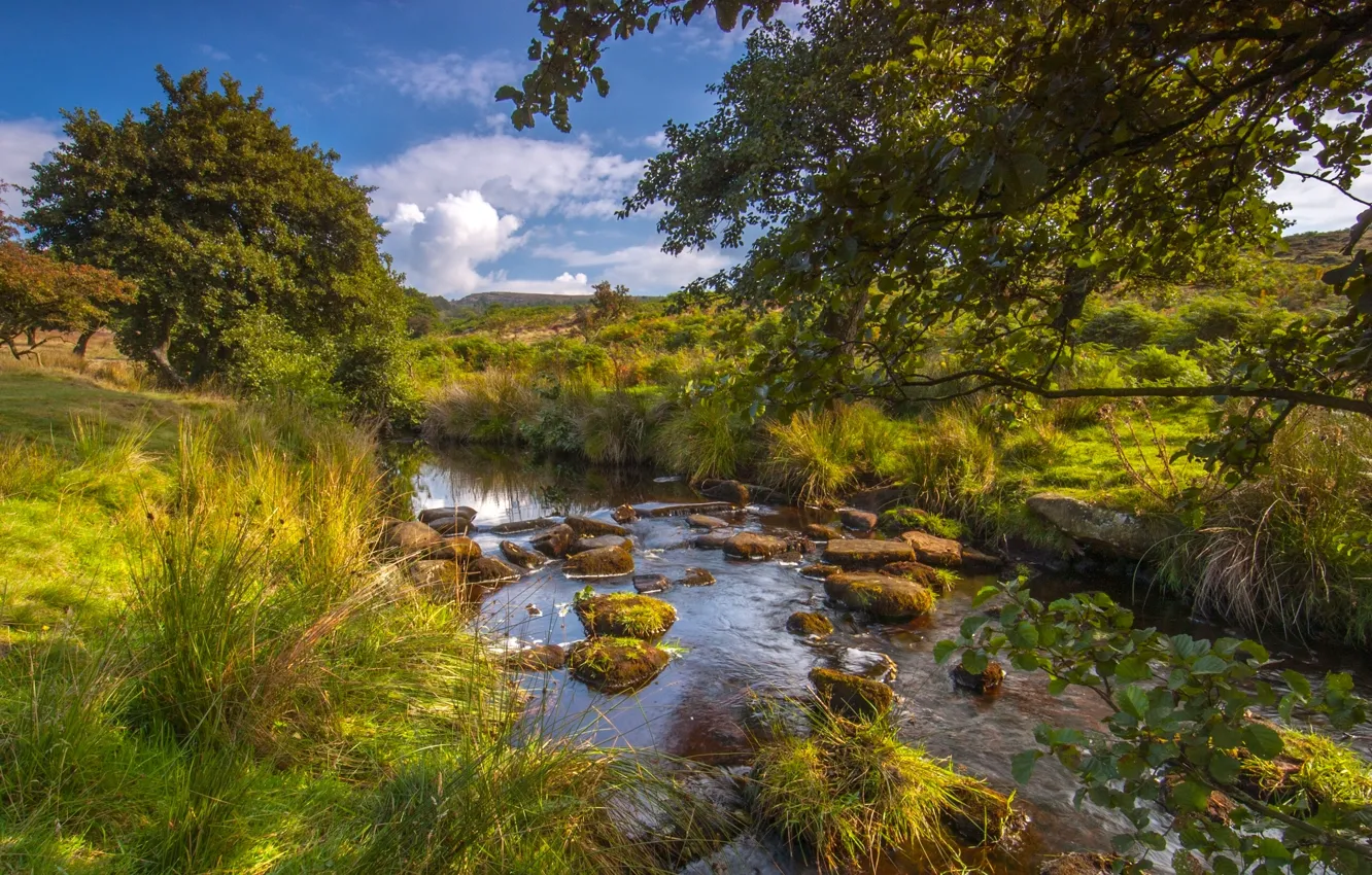 Photo wallpaper trees, river, England, river, England, Peak District National Park, Derbyshire, Derbyshire