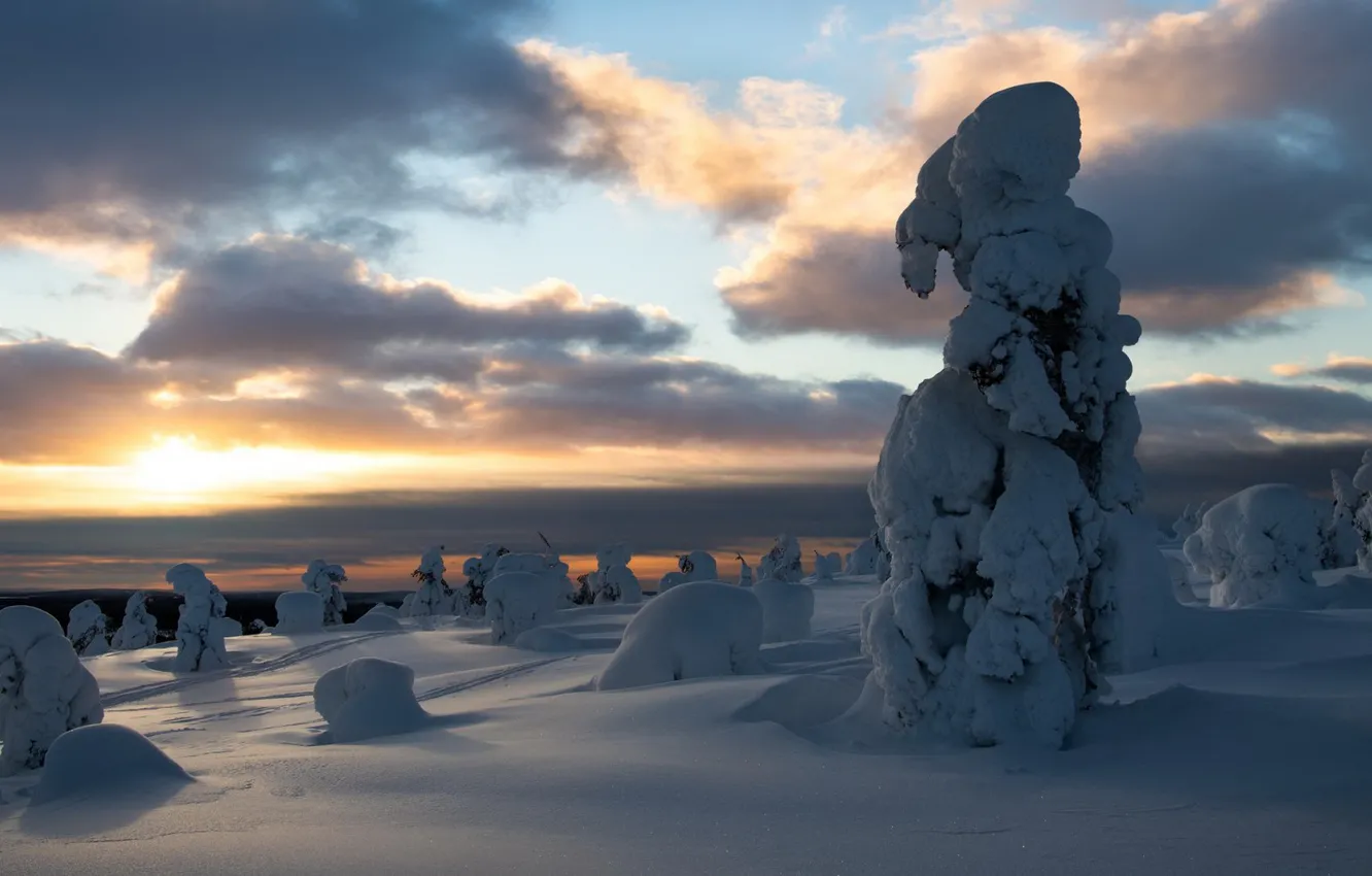 Photo wallpaper the snow, slope, mountains, winter, snow, ate, in the snow