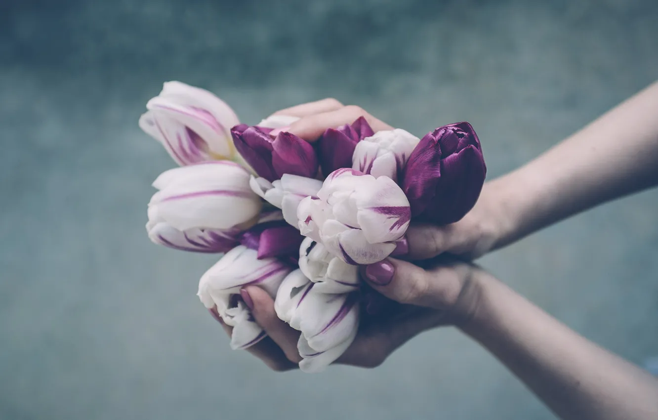 Photo wallpaper flowers, hands, bouquet