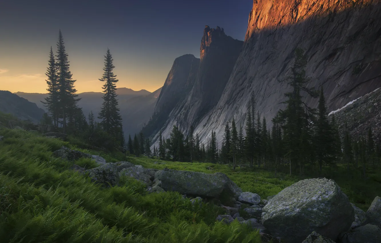 Photo wallpaper forest, summer, light, mountains, stones, rocks, tops, the evening