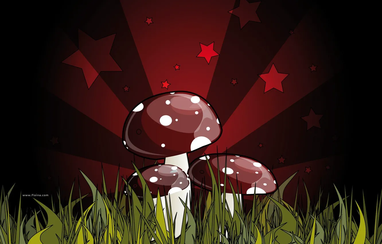 Photo wallpaper red, green, figure, fatal, mushrooms, grebe. poisonous, mushroom, dark
