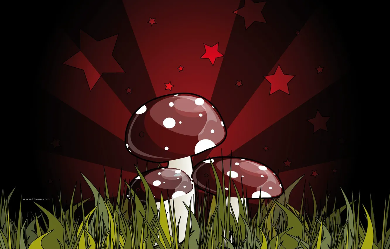 Photo wallpaper red, green, figure, fatal, mushrooms, grebe. poisonous, dark