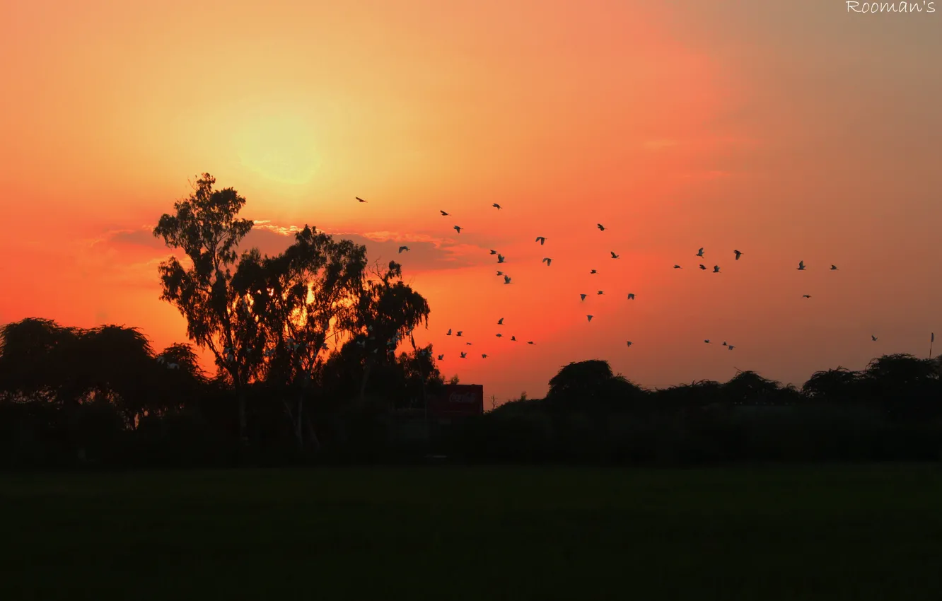 Photo wallpaper nature, sunset, beautiful, evening, sun&amp;sky