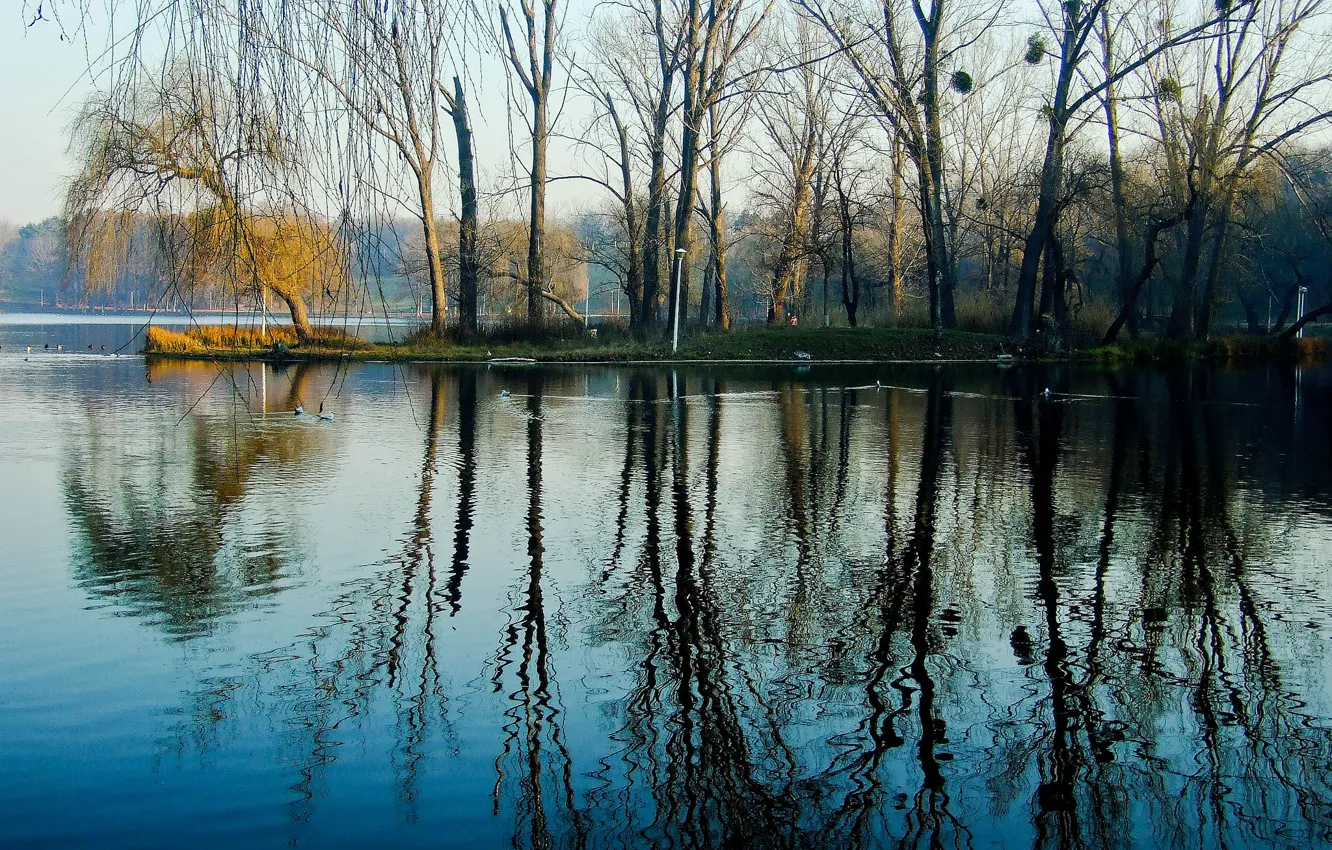 Photo wallpaper water, trees, lake, Park, spring