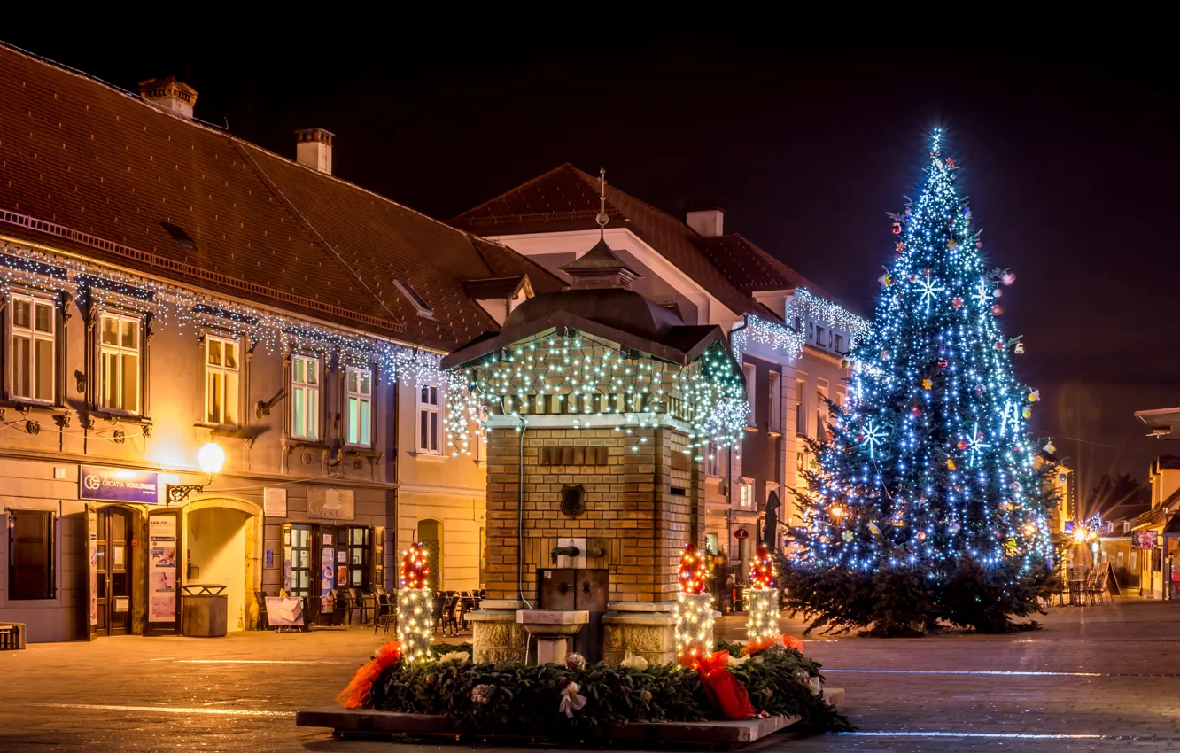 Photo wallpaper night, the city, lights, tree, new year, home, area, lights