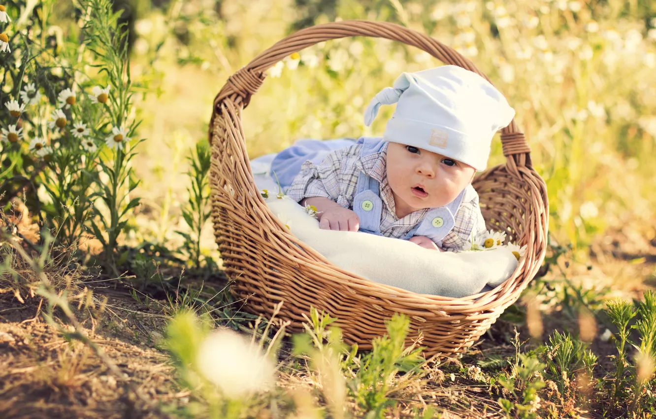 Photo wallpaper flowers, basket, chamomile, cap, baby